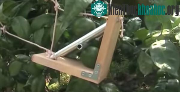 Thiết bị tự chế có kết cấu đáy chữ V bằng gỗ và 3 ống kim loại nẹp phía trên.