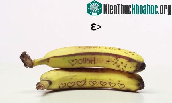 Video: Những trò "nghịch ngợm" thú vị với thức ăn