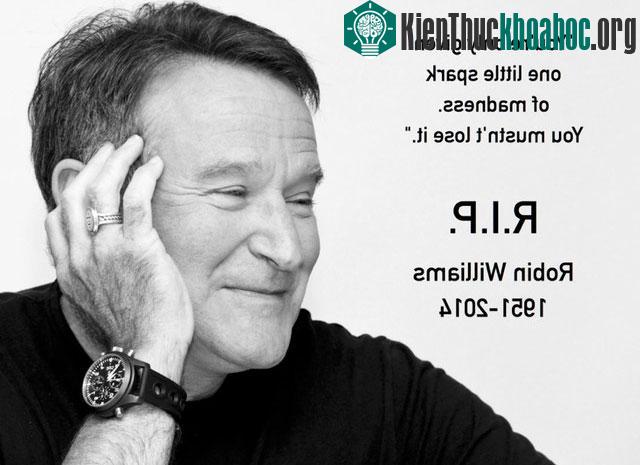 Tái hiện năm 2014 qua chính những gì bạn tìm kiếm từ Google