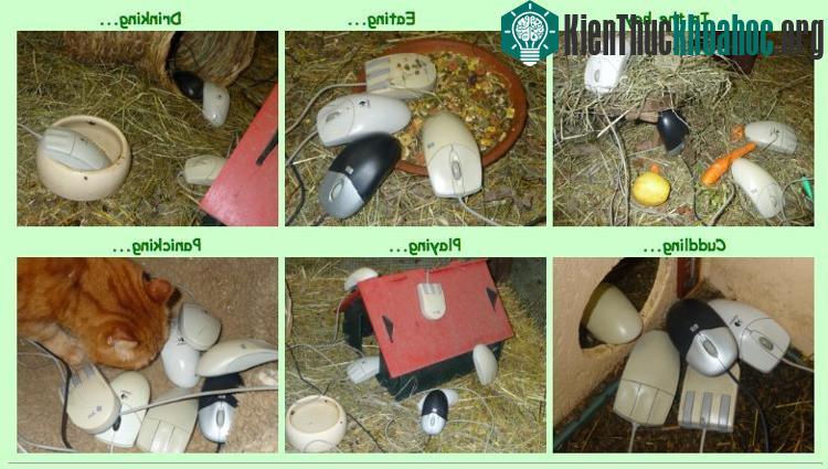 Ban đầu đây chỉ là một trò đùa Cá tháng Tư nhằm nâng cao nhận thức về bảo mật của các nhân viên...