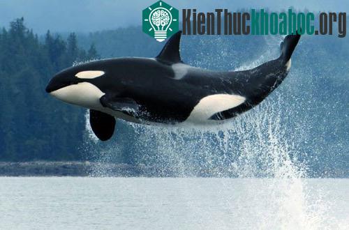 Ảnh: news.go.vn