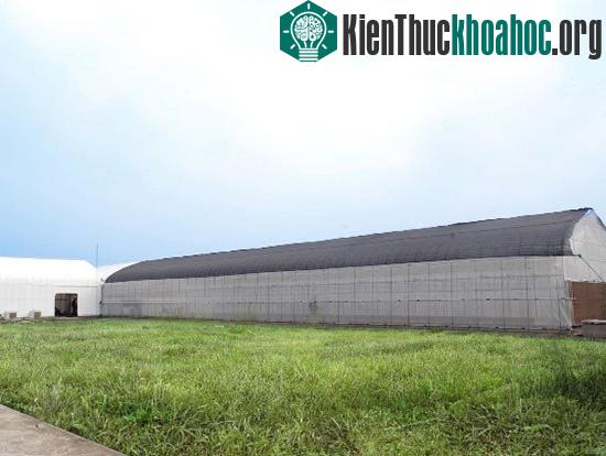Trung tâm Hợp tác Nông nghiệp thông minh FPT-Fujitsu với diện tích 403m2, gồm 3 khu vực: nhà kính, nhà máy rau và khu trưng bày sản phẩm.