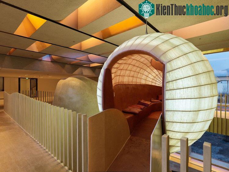 Omicron có thiết kế đột phá với phòng làm việc và nghỉ ngơi hình tròn ngộ nghĩnh.
