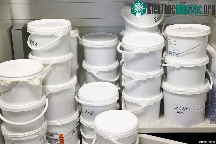 Với số não được ngâm hóa chất để bảo quản vĩnh viễn, trước khi được cố định, các nhà nghiên cứu sẽ đựng chúng vào trong những chiếc hộp Tupperware và lưu giữ ở nhiệt độ phòng.