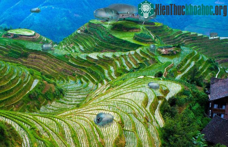 Driftcraft này có khả năng thích nghi với mọi địa hình.