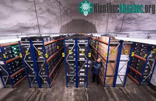 Hầm chứa hạt giống chống tận thế dưới lớp băng Bắc Cực ảnh 3