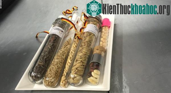 Hầm chứa hạt giống chống tận thế dưới lớp băng Bắc Cực ảnh 4