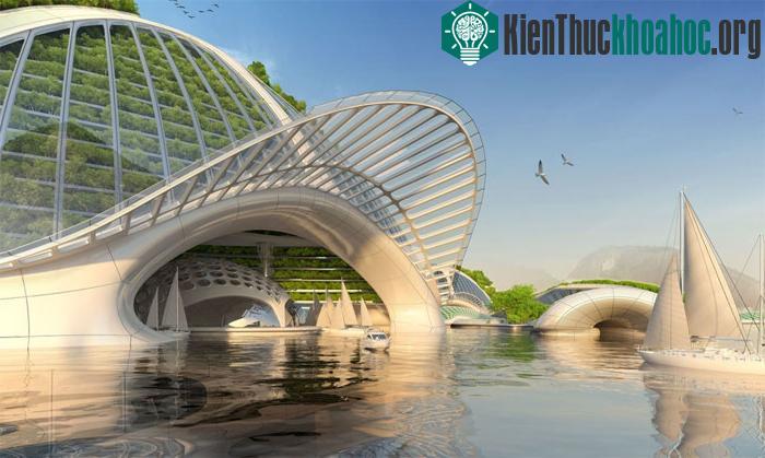 Hệ thống thuyền đi lại kết nối với khu rừng ngập mặn.