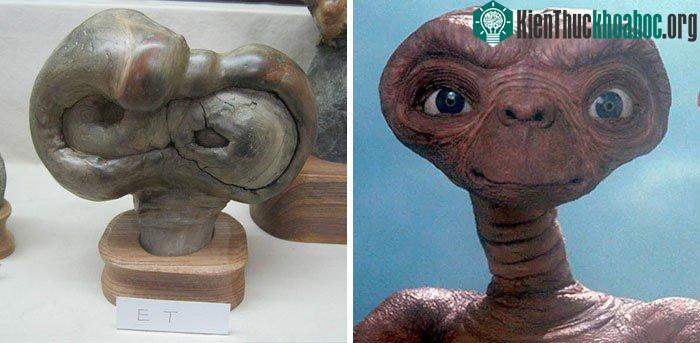 Hay thậm chí là cả những nhân vật giả tưởng