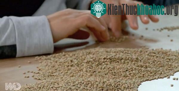 Hầm chứa hạt giống chống tận thế dưới lớp băng Bắc Cực ảnh 6