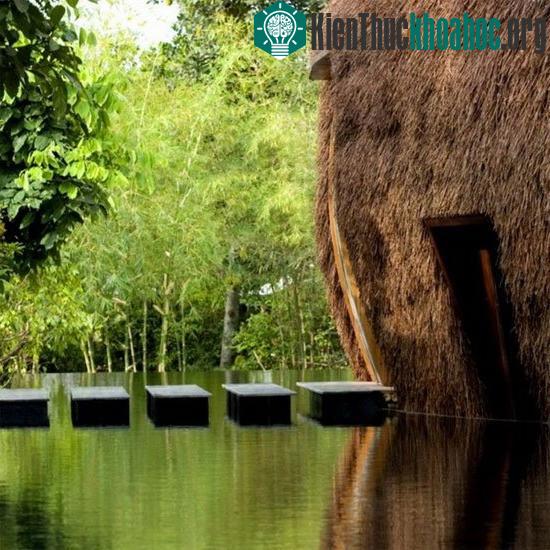 Gió và nước, quán bar độc nhất vô nhị của thế giới: Với thiết kế độc đáo, Gió và Nước, một bar ở Bình Dương đã lọt vào top 24 quán bar ấn tượng của thế giới do trang News Distractify bình chọn. (Ản...