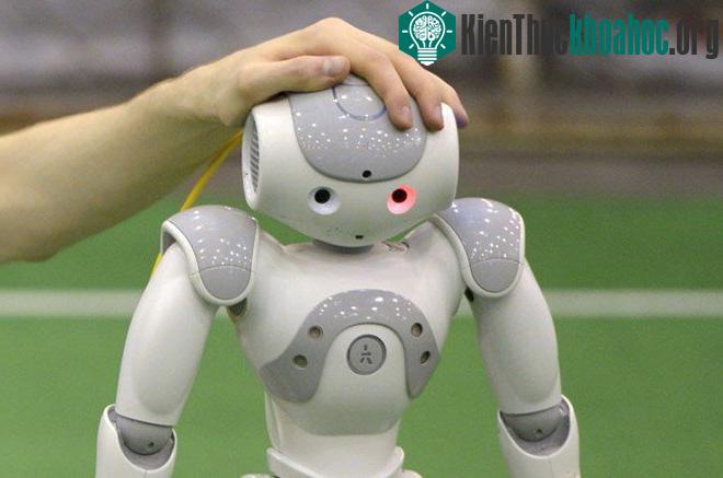 Con người sẽ ngày càng mang nhiều trải nghiệm thực tế ảo vào cuộc sống, trong đó có cả quan hệ tình dục với người máy. (Nguồn: Reuters)