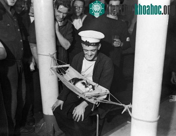 Hình ảnh Oscar nằm võng trên tàu Bismarck năm 1941.
