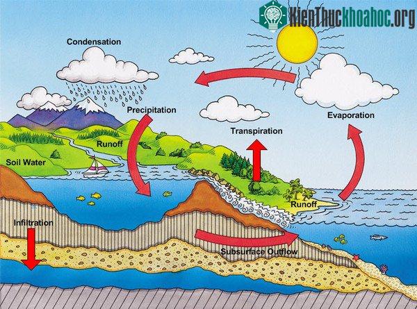 Vòng tuần hoàn của nước trên Trái đất