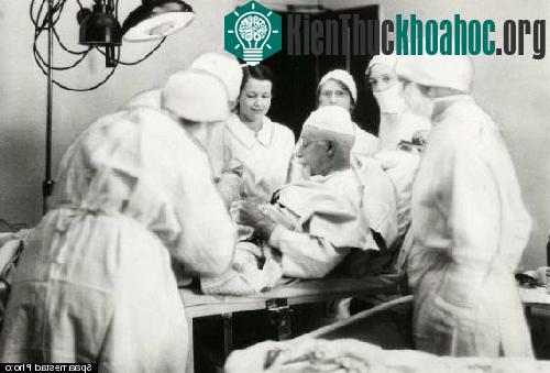Những nhà khoa học quên mình vì nghiên cứu