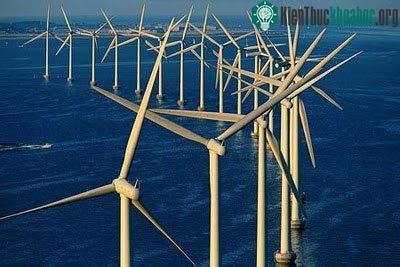 Anh: Khởi động dự án trang trại điện gió