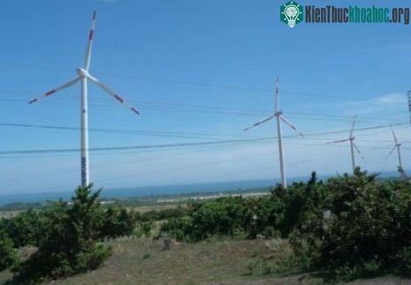 Các trụ tua-bin tháp điện gió cao 85m, cánh quạt dài 37m của Phong điện 1. (Ảnh: Đào Loan - TBKTS)
