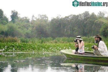 Theo các nhà khoa học, thủy điện Đồng Nai 6 và 6A sẽ tác động lớn tới Vườn quốc gia Cát Tiên. (Ảnh: Luxury Travel)