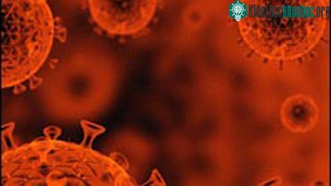 Vắc-xin chống HIV, cuộc tìm kiếm đầy thử thách ảnh 0