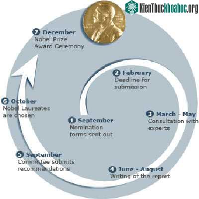 Mô tả quá trình lựa chọn cho giải Nobel Vật lý.
