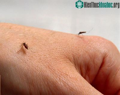 Những nghề khó chịu nhất trong khoa học