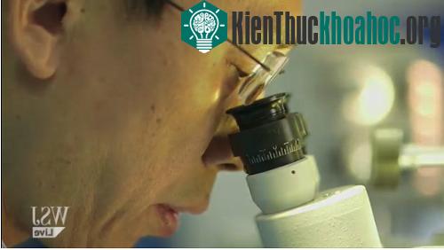 Tiến sĩ Ren trong phòng thí nghiệm ở Cáp Nhĩ Tân. (Ảnh chụp màn hình: WSJ)