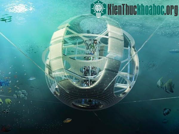 Trung tập xử lý rác thải trên biển