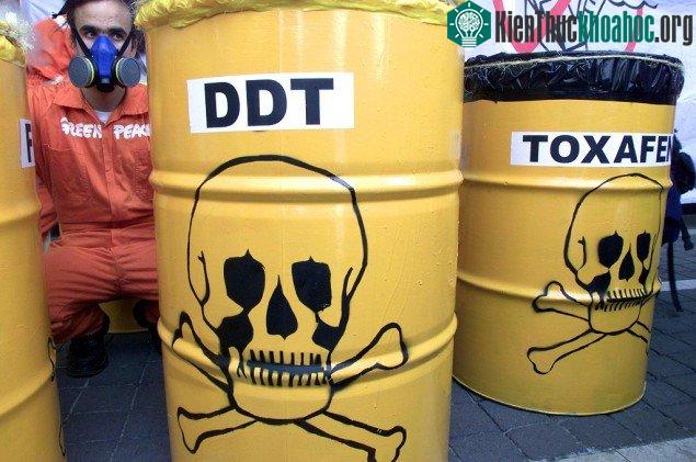 DDT, hợp chất có hai mặt lợi hại, đã giúp nhà khoa học Thụy Sĩ Paul Mueller doạt giải Nobel năm 1948. (Ảnh: paris-normandie)