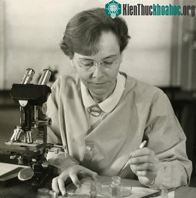 Nhà di truyền học Barbara McClintock