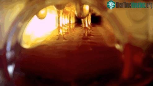 Nến sáp ong được làm hoàn toàn từ thiên nhiên.