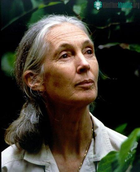 Janes Goodall