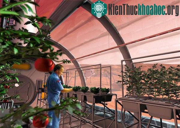 Nền văn minh sao Hỏa không phát triển một cách đơn giản, phụ thuộc rất nhiều vào pháp lý của mỗi nước, mỗi nền văn hóa, sắc tộc,...​