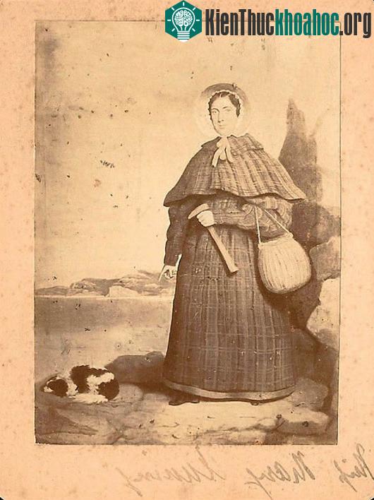 Mary Anning - nhà cổ sinh vật học
