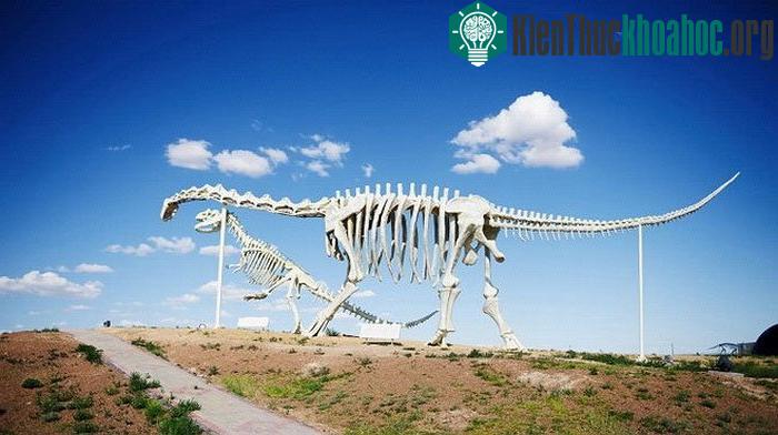 Khủng long cổ dài, một trong những loài khủng long có kích thước lớn nhất