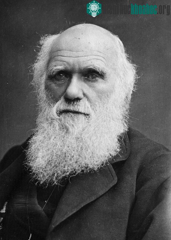 Charles Darwin