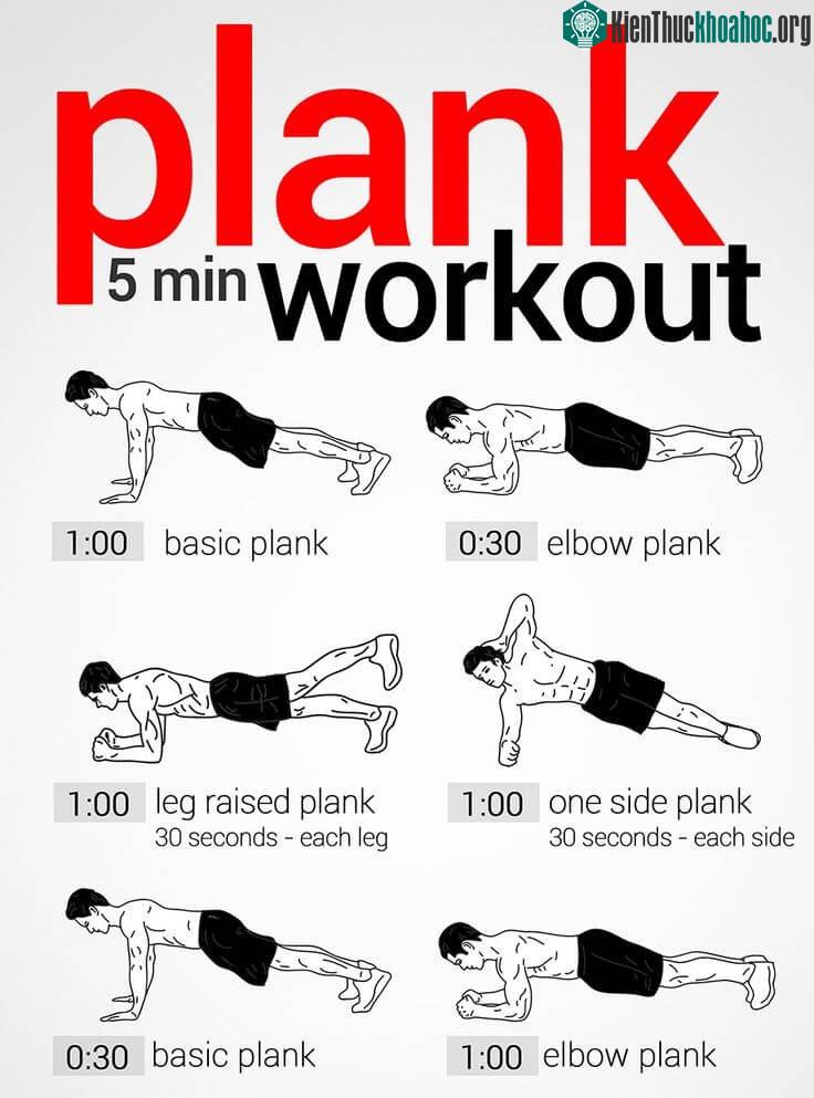 Bài tập Plank