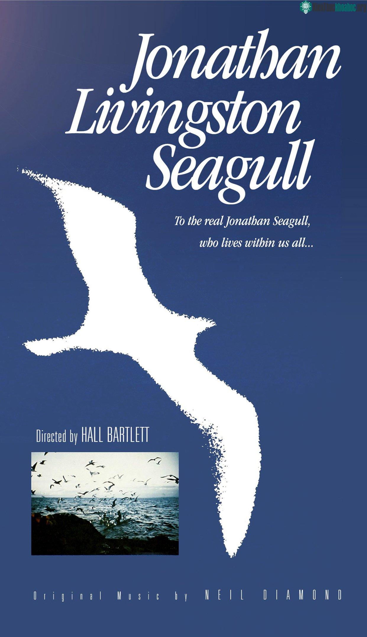 Hải âu Jonathan Livingston