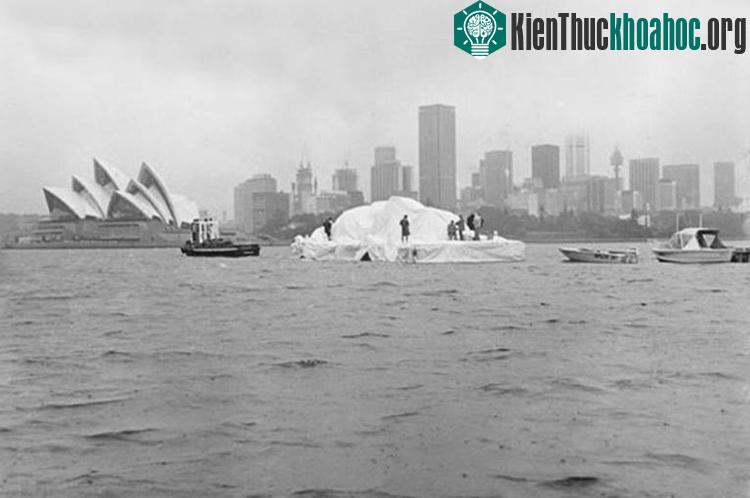 Tháng 4/1978, một chiếc sà lan chở tảng băng khổng lồ xuất hiện tại cảng Sydney.