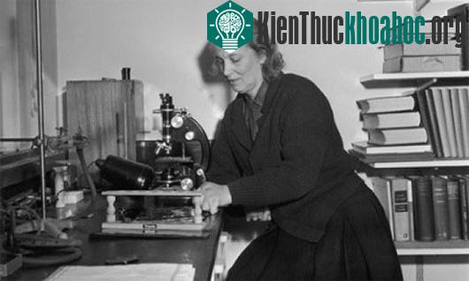 Bà nhận giải Nobel năm 1964 nhờ phát hiện ra cấu trúc của B12