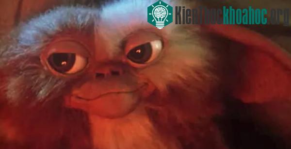 Chú quái vật Gizmo trong bộ phim Gremlins.