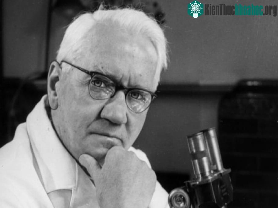 Alexander Fleming là nhà vi trùng học nổi tiếng nước Anh.