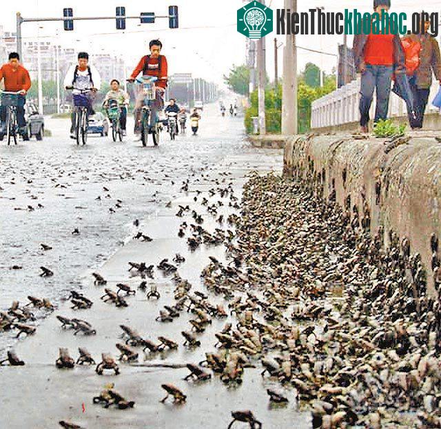 Tại Trung Quốc từng xảy ra 1 trận động đất với dấu hiệu tương tự