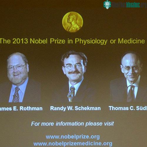 James Rothman, Randy Schekman và Thomas Sudhof. (Nguồn: AFP)