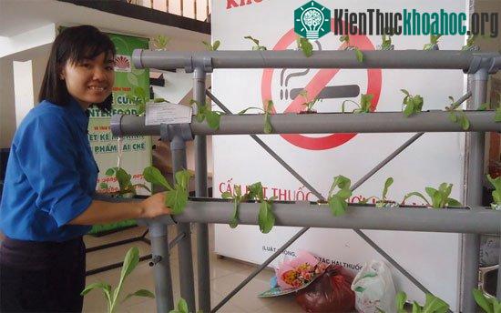 Ngô Thị Tú Trinh với mô hình trồng rau thủy canh hoàn lưu sử dụng &nbsp;sản phẩm tái chế đoạt giải nhất - (Ảnh: Hoàng Mai)