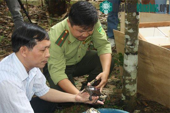 Các nhà bảo tồn đang giới thiệu về đặc tính sinh học của loài rùa Trung Bộ. (Ảnh: ENV)