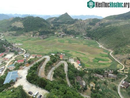 Hà Giang có điều kiện thổ nhưỡng thích hợp để phát triển cây diêm mạch. (Ảnh :INIA)