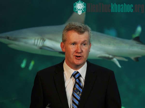 Ông Tony Burke trong lễ công bố lập công viên hải dương lớn nhất thế giới.