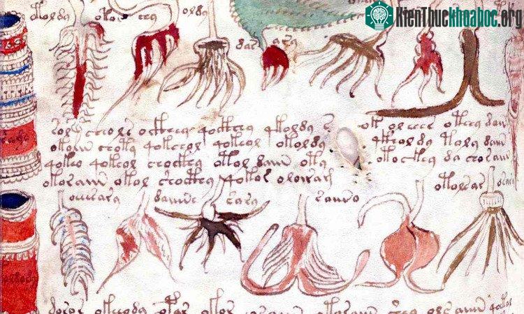 Các văn tự và hình ảnh chưa được giải mã trong cuốn Voynich - (Ảnh: Universal History Archive/Getty).