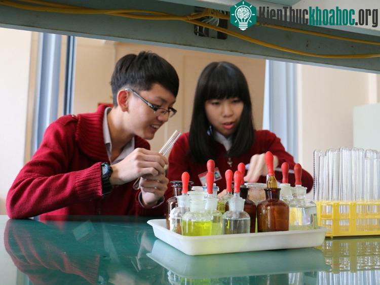 Châu và Chính trong phòng thí nghiệm. (Ảnh: L.V/Thanh Niên).