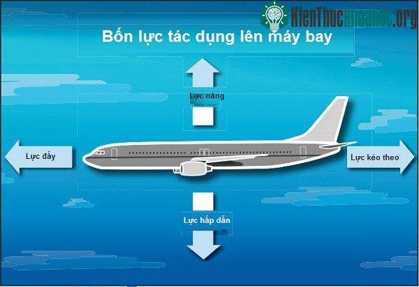 Làm thế nào máy bay có thể bay trên bầu trời?